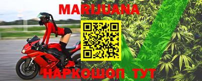 сатива Краснодар