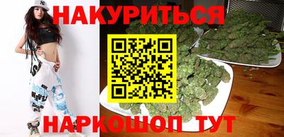 сатива Краснодар