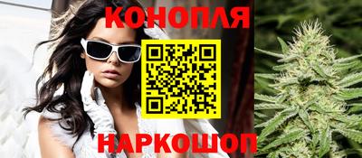 сатива Краснодар
