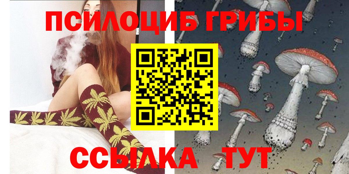 Псилоцибиновые грибы MAGIC MUSHROOMS  Вход с VPN  Камень-на-Оби  Псилоцибиновые грибы Magic Shrooms 
