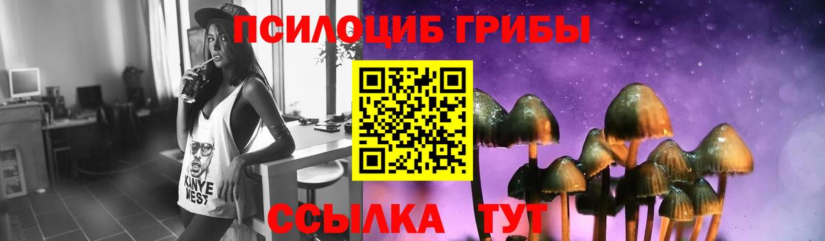 Галлюциногенные грибы Psilocybe Камень-на-Оби